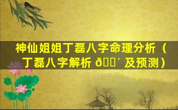 神仙姐姐丁磊八字命理分析（丁磊八字解析 🌴 及预测）